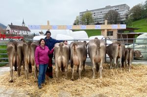 76 Donna 120.0891.4611.5 Bucheli-Zimmermann Bruno Brunnen paul caduff